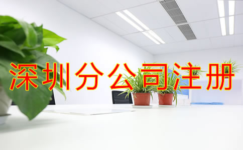 深圳分公司注冊資金要求有哪些？